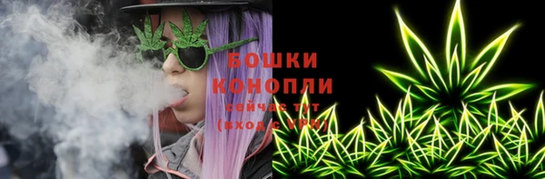 индика Аркадак
