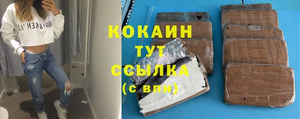 индика Аркадак