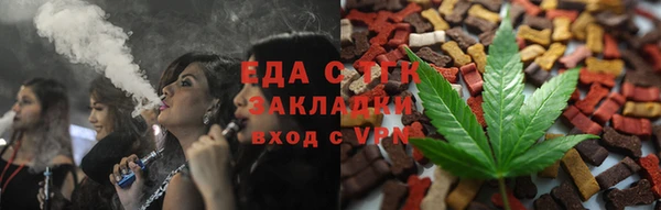 стаф Арсеньев
