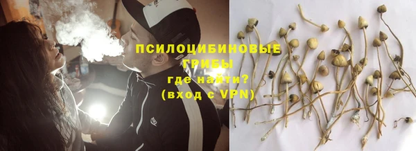 прущая мука Армянск