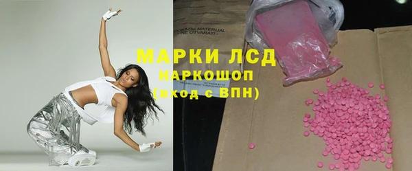 индика Аркадак