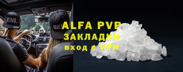 стаф Арсеньев
