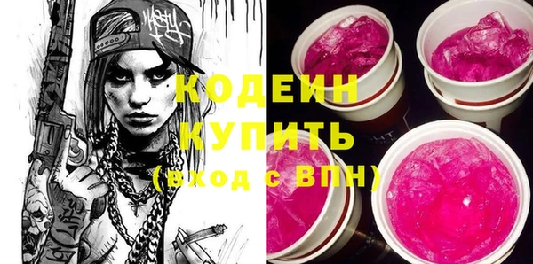 индика Аркадак