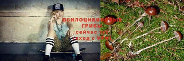 прущая мука Армянск