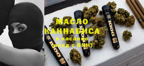 индика Аркадак