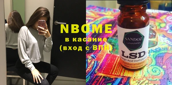 стаф Арсеньев