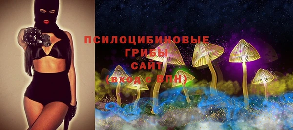 стаф Арсеньев