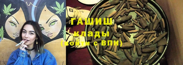 индика Аркадак