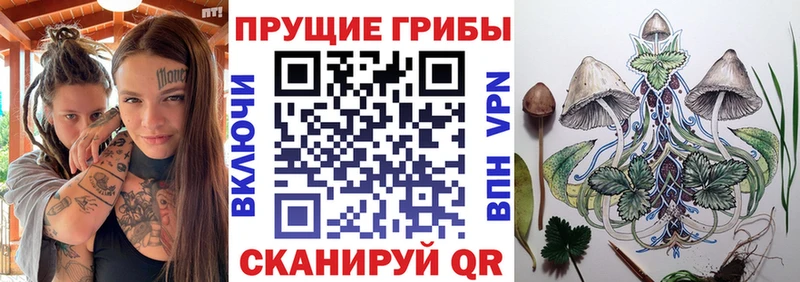 продажа наркотиков  mega как войти  Галлюциногенные грибы ЛСД  Ивдель 